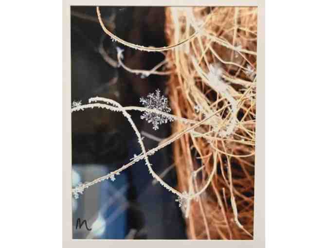 Snowflake on Grass (Photography)