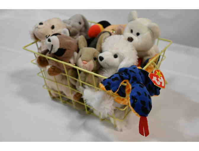Beanie Baby Basket