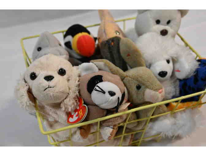 Beanie Baby Basket
