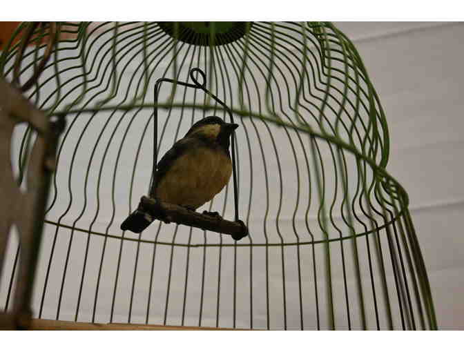 Vintage Bird Cage with Bird