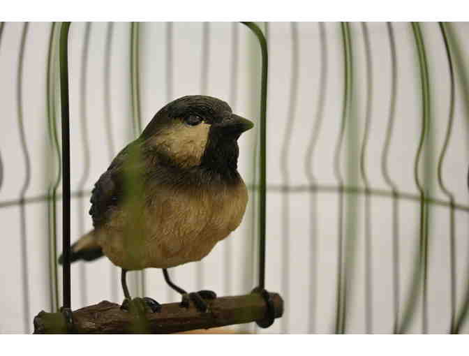 Vintage Bird Cage with Bird