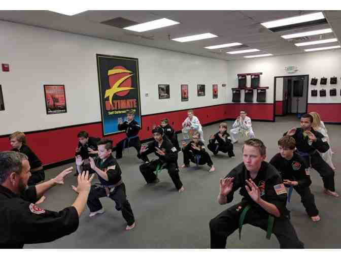 Z-Ultimate Defense Martial Arts Class Pass