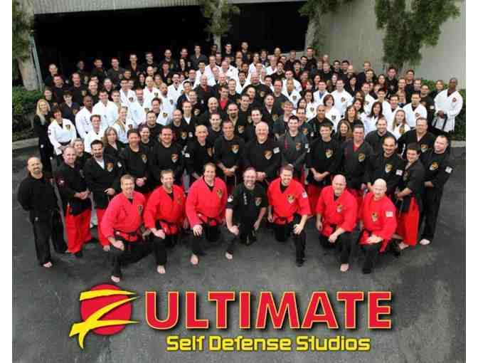 Z-Ultimate Defense Martial Arts Class Pass