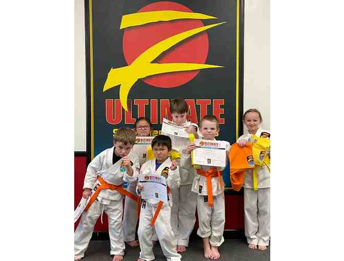 Z-Ultimate Defense Martial Arts Class Pass