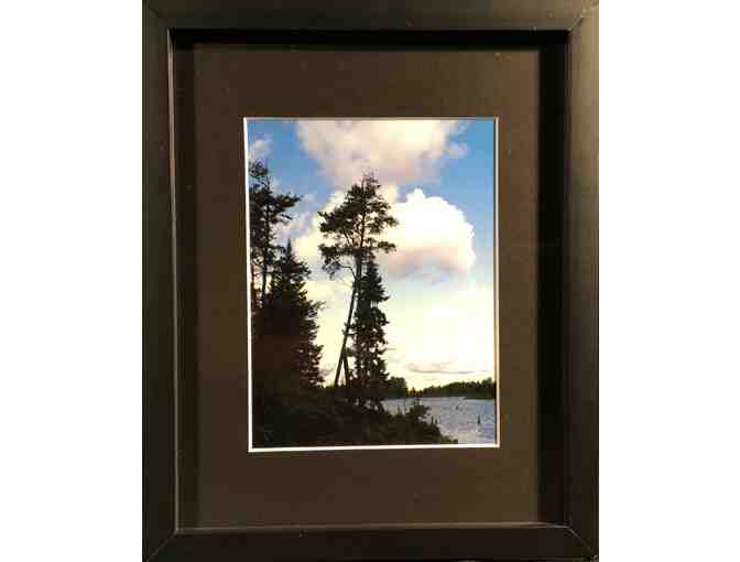 9" x 11" Matted and framed art photograph of tree - Photo 1