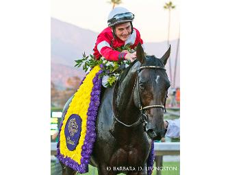 Barbara D. Livingston prints