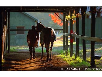 Barbara D. Livingston prints