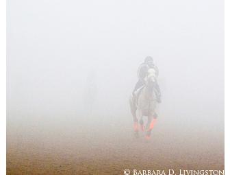 Barbara D. Livingston prints