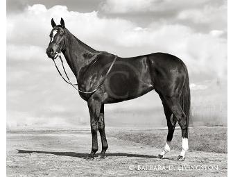 Barbara D. Livingston prints