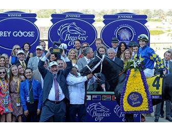 Racing Package - Breeders Cup 2013
