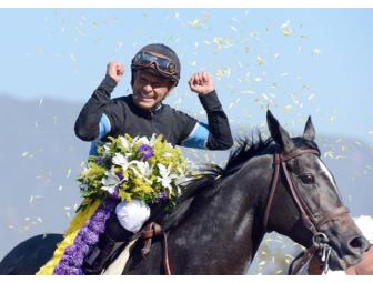 Racing Package - Breeders Cup 2013