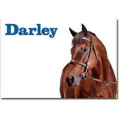Darley America