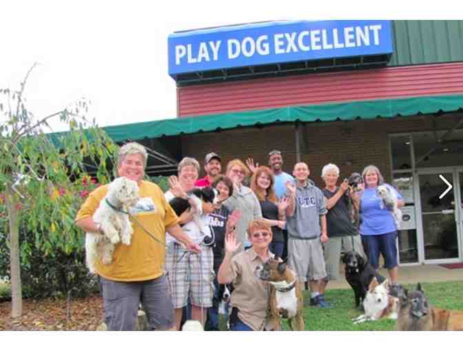 Play Dog Excellent Gift Certificate