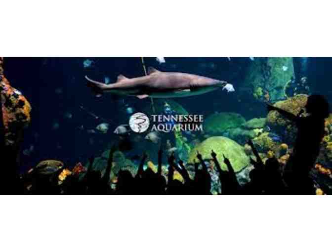 Tennessee Aquarium Passes