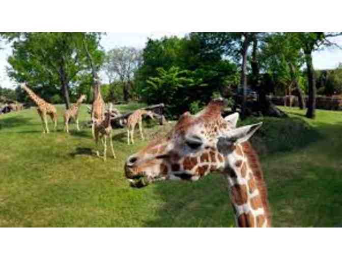 2 Adult Tickets for Fort Worth Zoo