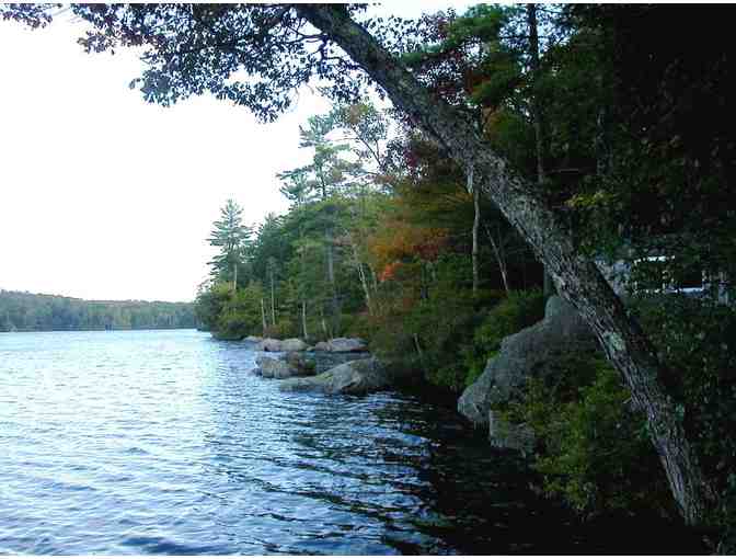 Weekend Escape to Hillsborough, NH Woods