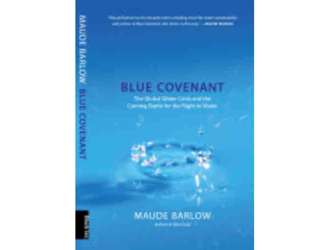 Changing the World Through Activism 4 Book Set