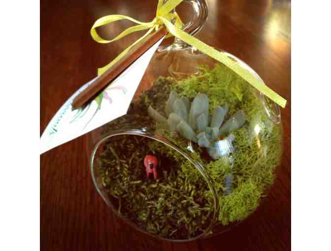 Sherman Flamingo Hanging Glass Terrarium