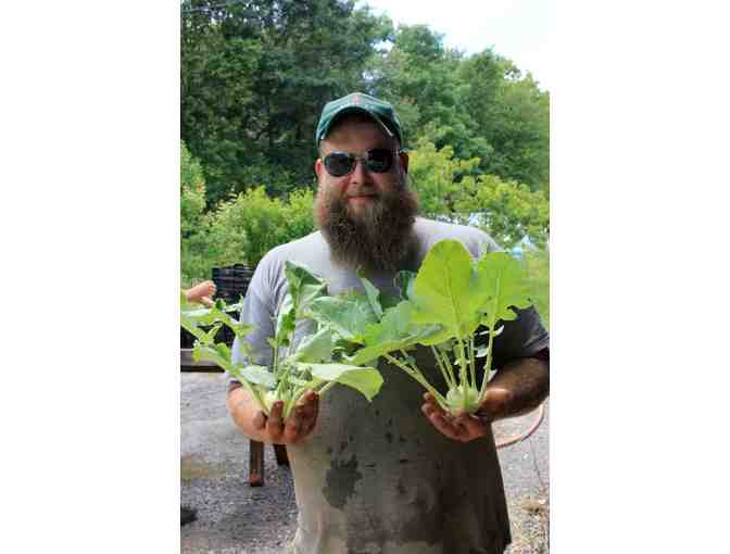 Locally-Grown Garlic Variety Pack