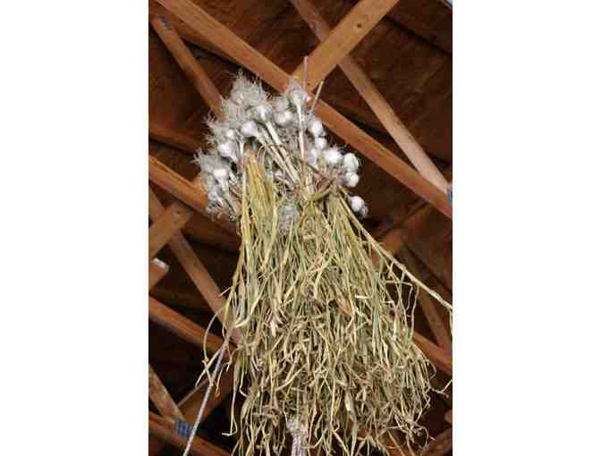 Locally-Grown Garlic Variety Pack