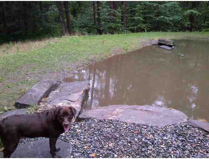 Three-Day Stay in a Rustic Vermont Cabin