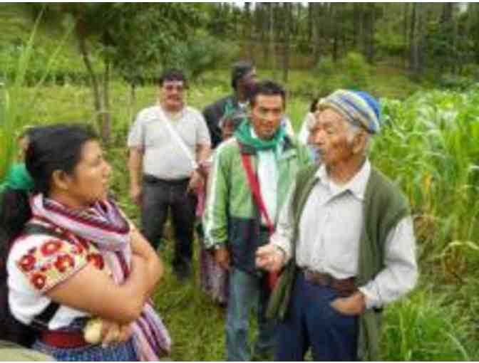 Peasant Unity Committee Flag & Bandana From Guatemala