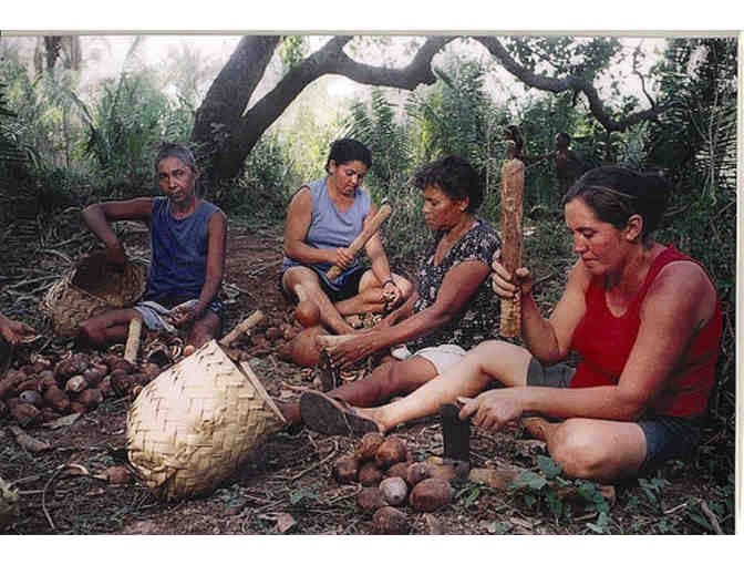 Hand-Carved Gourd from Brazil
