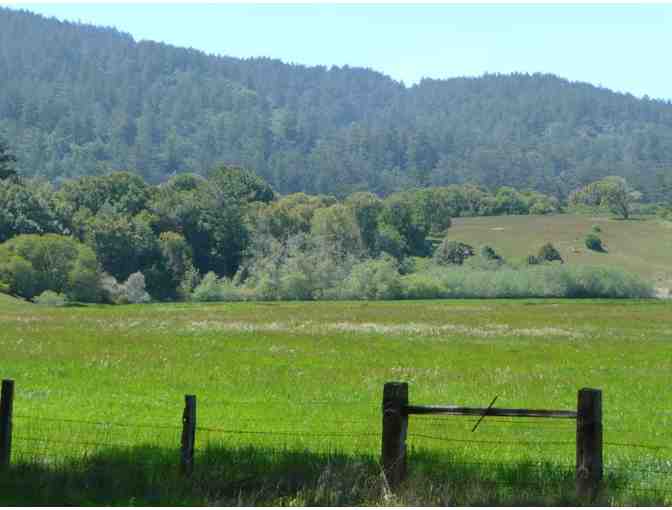 Spend a Day in the Bay Area