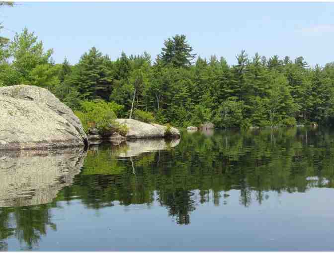 Weekend Escape to Hillsborough, NH Woods