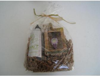 A Sprout Watch - Purple