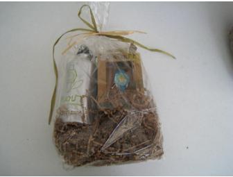 A Sprout Watch - Turquoise