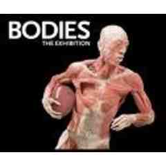 BODIES- The Exhibition