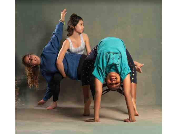 Brooklyn Arts Exchange $100 Gift Certificate