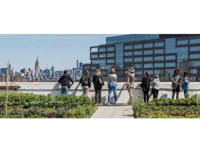 Brooklyn Grange Private Group Tour of the Farm