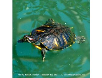 FRAMED LITTLE WORLDS PHOTOGRAPH