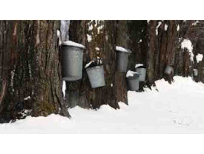 Maple Sugaring at Your Home