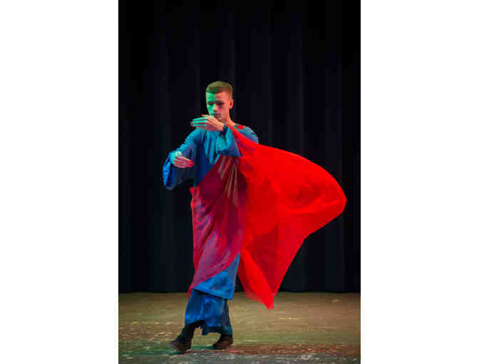 30 New Eurythmy Costumes