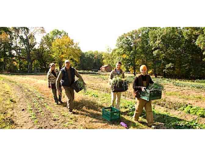 Pfeiffer Center Basket: Begin a Vegetable Garden Workshop, Honey & Dry Goods