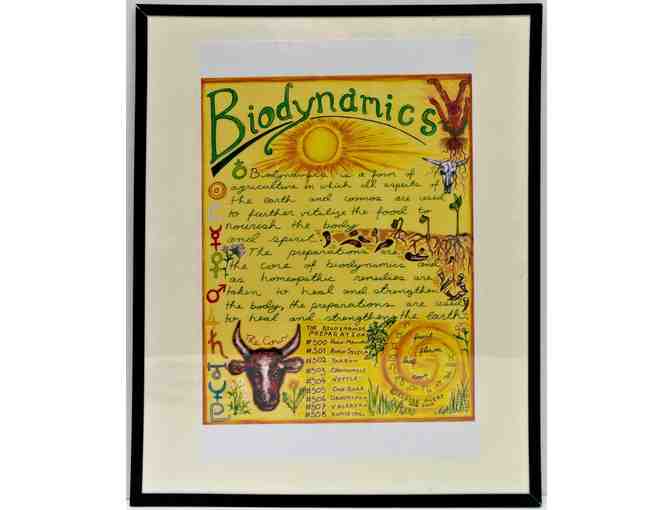 Original Artwork Biodynamic Poster Set by Eloise Avery, GMWS Alumna