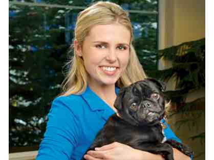 Behavior Consultation with Mikkel Becker