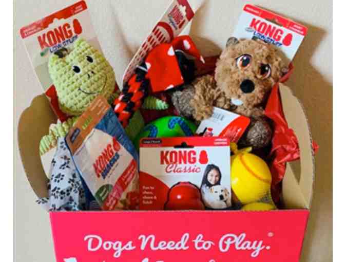 Kong Dog Gift Box