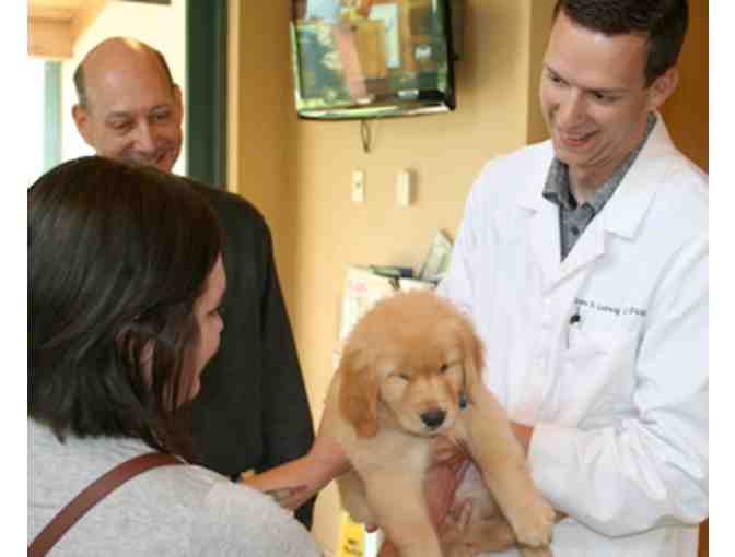 Rocky Gorge Animal Hospital Veterinary Care Package