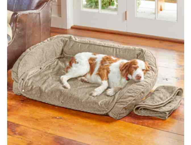 Orvis Orthopedic Dog Bed
