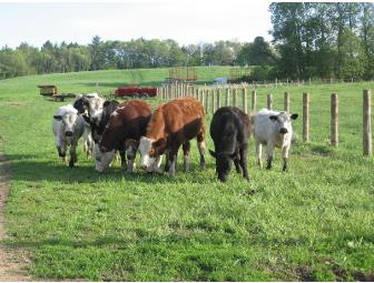 $40 Gift Certificate New Boston Beef