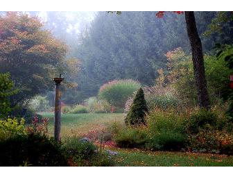 One Hour Landscape Consultation