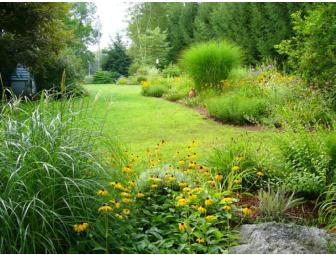 One Hour Landscape Consultation