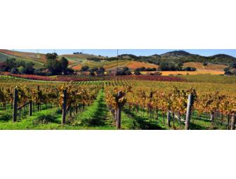 Charming Wine Country