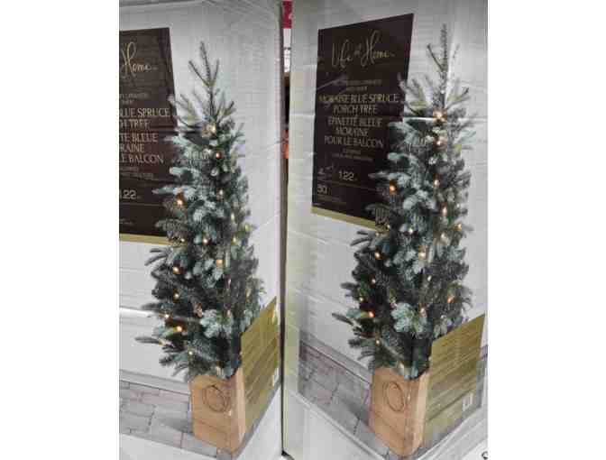 Life At Home- 2x Pre-Lit Potted Porch Christmas Trees