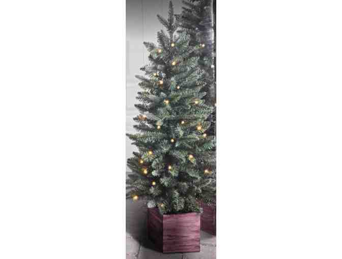 Set of 2- Pre-Lit Porch Christmas Trees