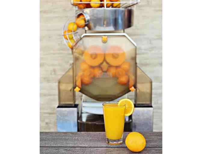 Old European/Little Euro